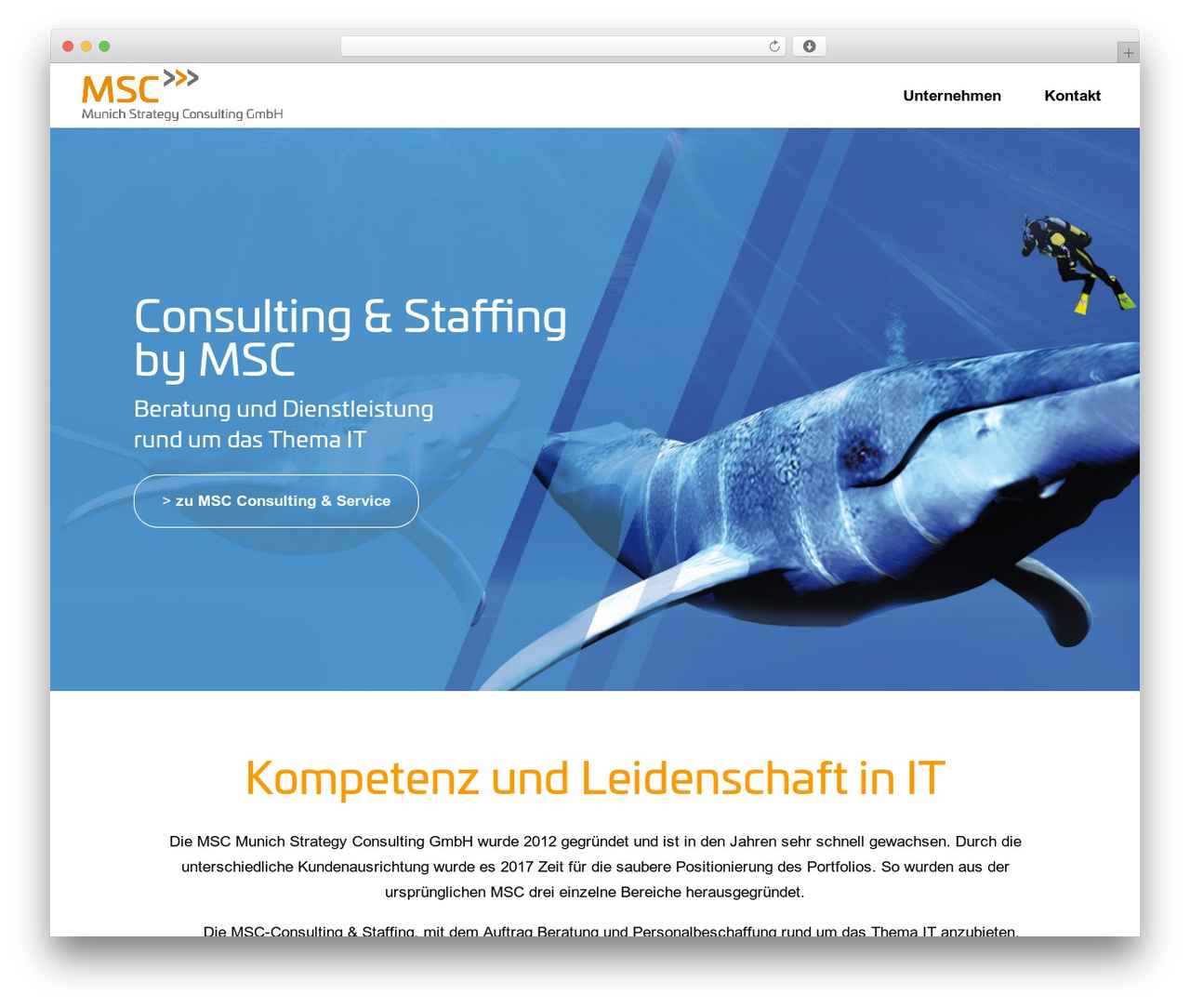 WordPress theme Divi - munichstrategyconsulting.de WordPress theme Divi - munichstrategyconsulting.de