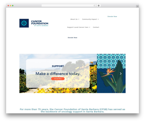 Dondivi builder WordPress plugin - cfsb.org