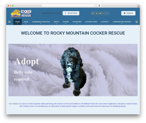 Best WordPress theme Buzz To The Rescues - rockymountaincockerrescue.org