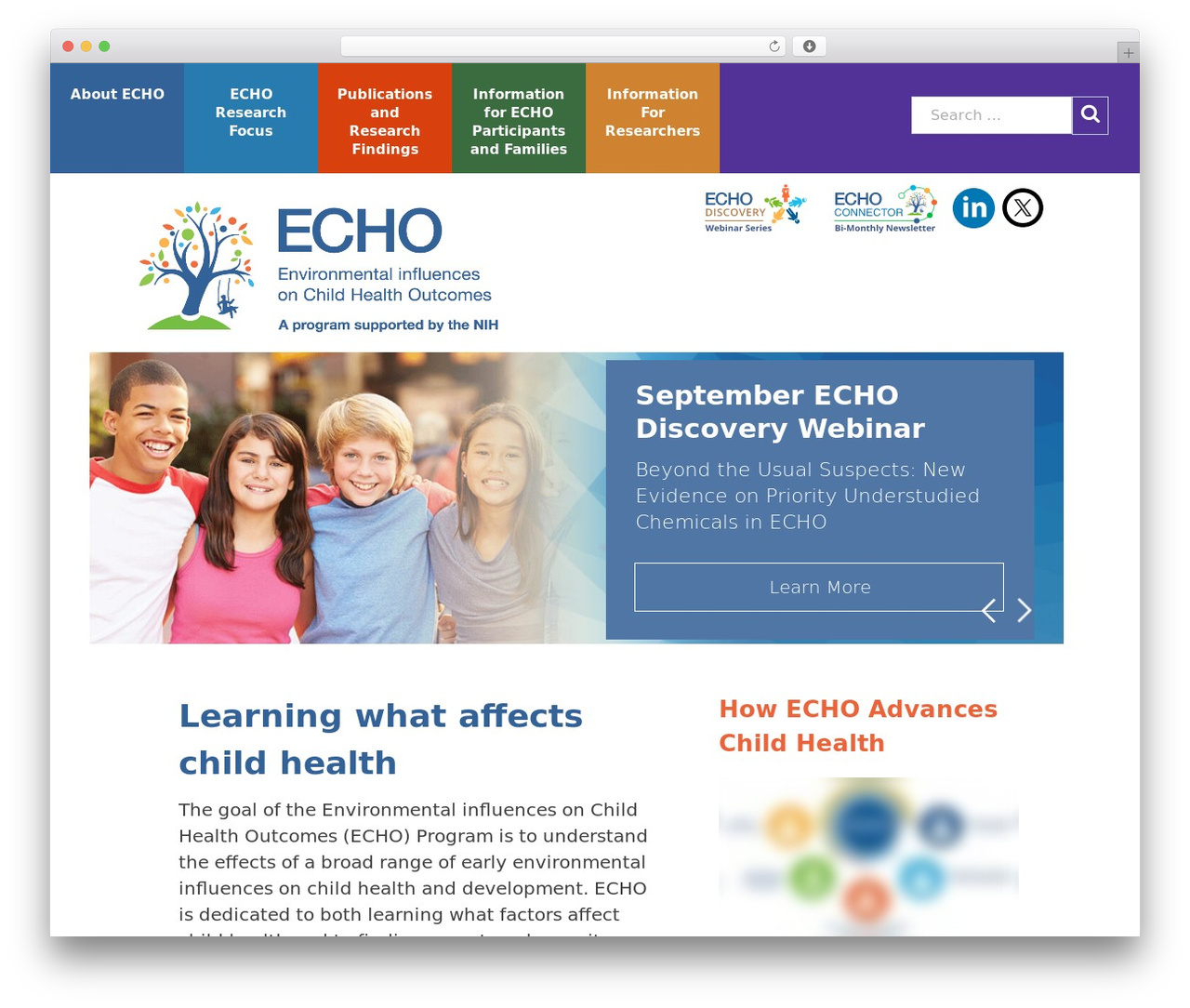 Echo Theme theme WordPress - echochildren.org Echo Theme theme WordPress - echochildren.org