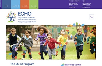 Theme WordPress Echo Theme Theme WordPress Echo Theme