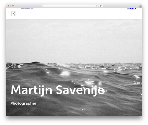 Themetrust social WordPress plugin - martijnsavenije.nl