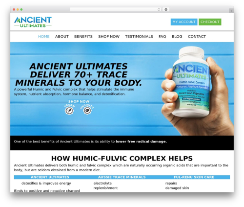 WordPress theme Beaver Builder Theme - ancientultimates.com