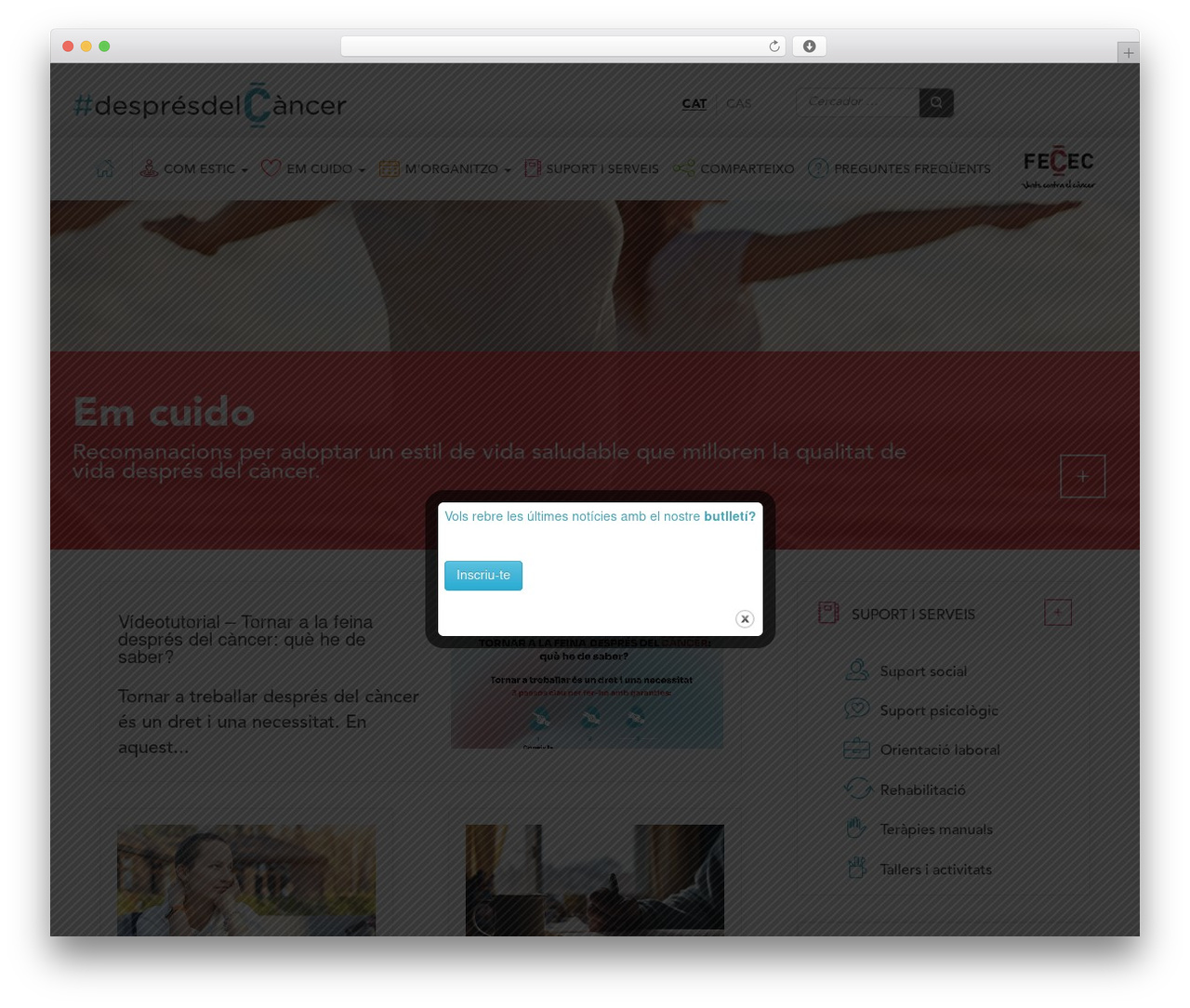 Bootstrap Basic theme WordPress free - despresdelcancer.cat