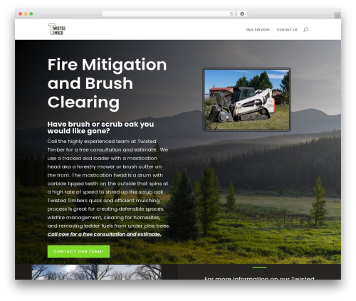 Divi builder 2 WordPress plugin - twisted-timber.com