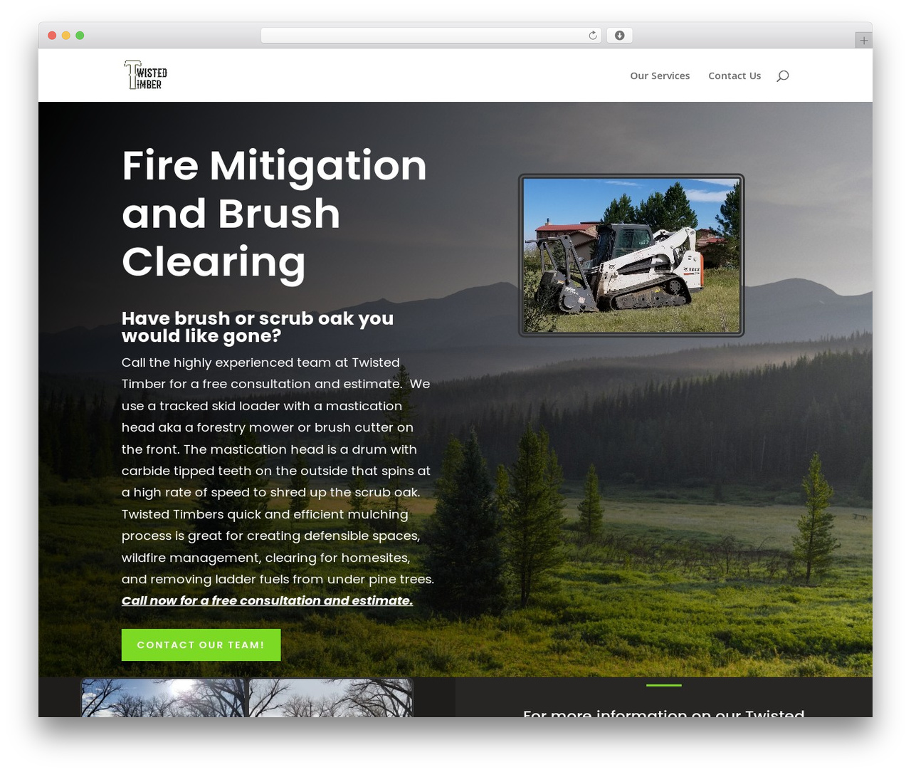 Divi theme WordPress - twisted-timber.com