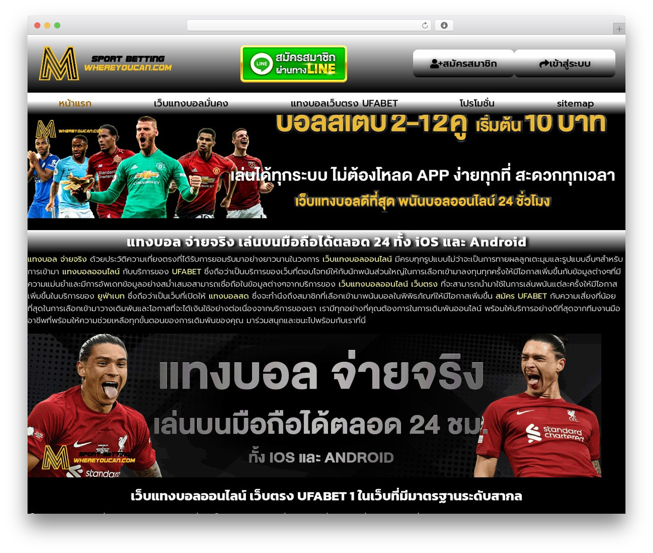 Hello Elementor WordPress theme - whereyoucan.com Hello Elementor WordPress theme - whereyoucan.com