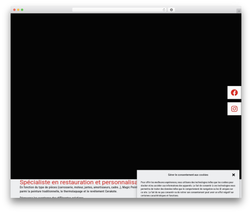 Netdev footer WordPress plugin - magic-peinture.com
