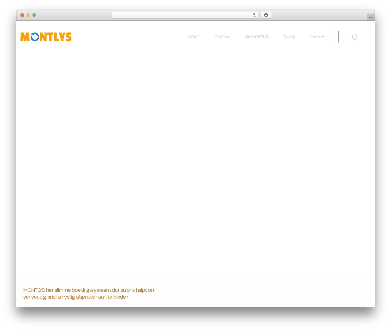 Materialis top WordPress theme - montlys.nl
