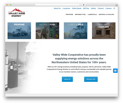 Robin image optimizer — save money on image compression (robin-image-optimizer) free WordPress plugin - vwcenergy.com