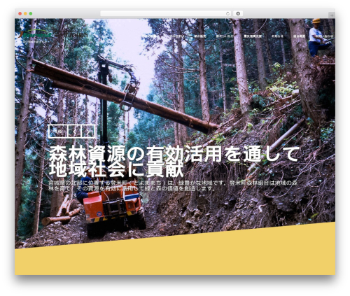 Cherry lazy load WordPress plugin - forest100.jp
