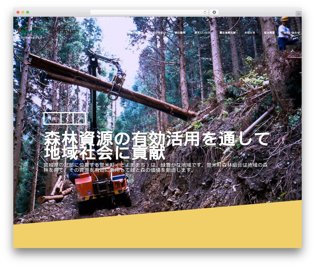 WordPress theme cherry - forest100.jp WordPress theme cherry - forest100.jp