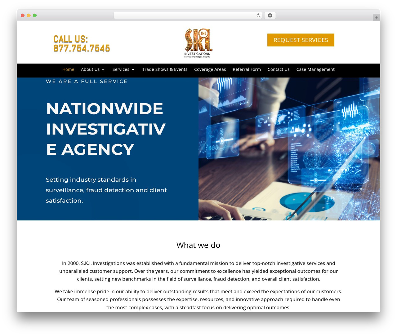 Divi WordPress theme - skiinv.com
