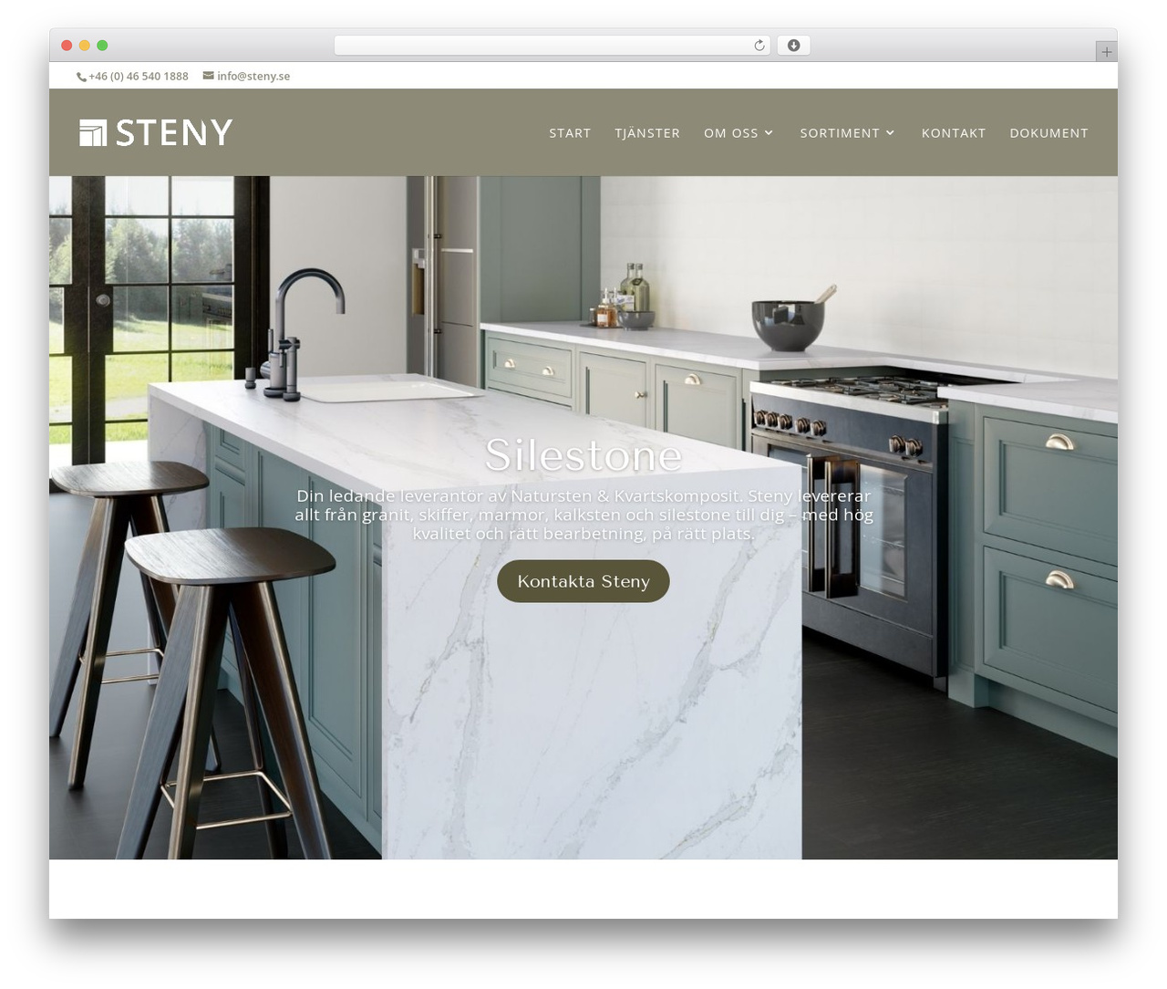 Divi WordPress theme - steny.se