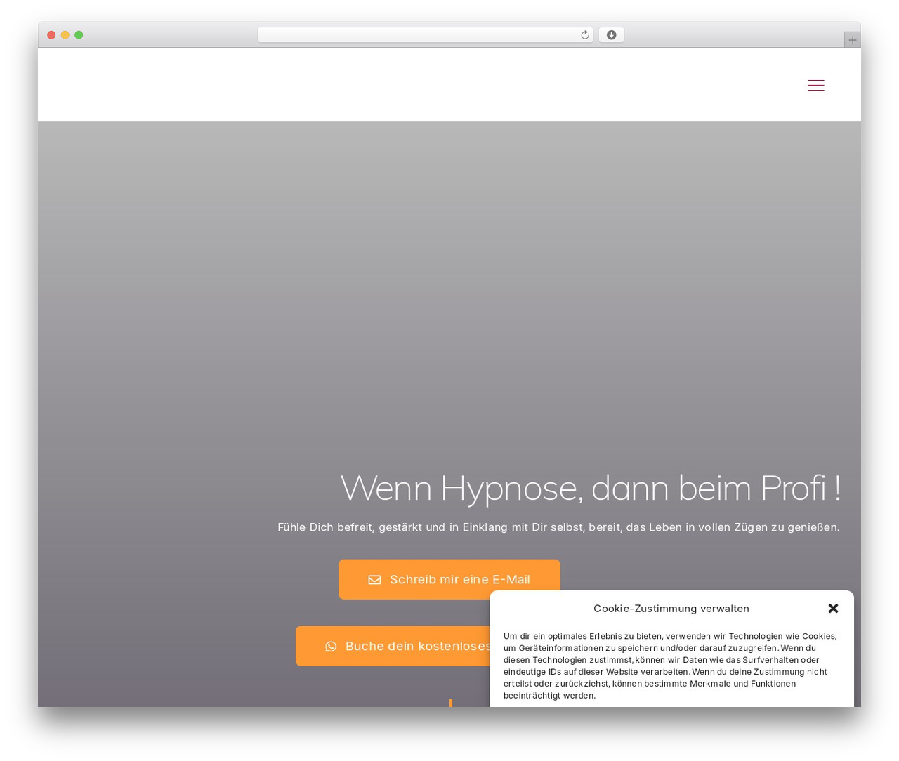 WordPress theme Avada - silva-schwabe.com