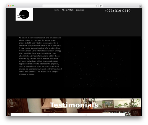 Tenweb builder WordPress plugin - newmooncancercare.net