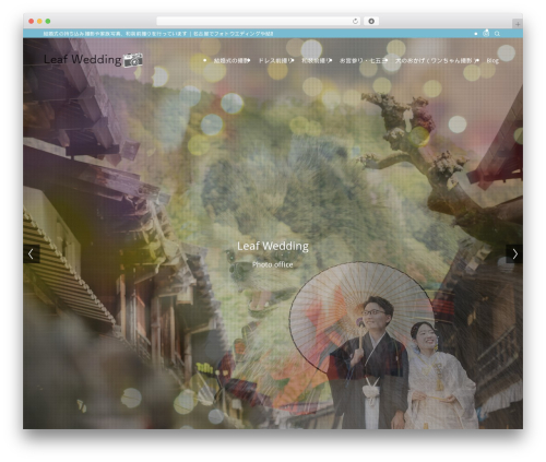 Celtispack WordPress plugin - leaf-wedding.com
