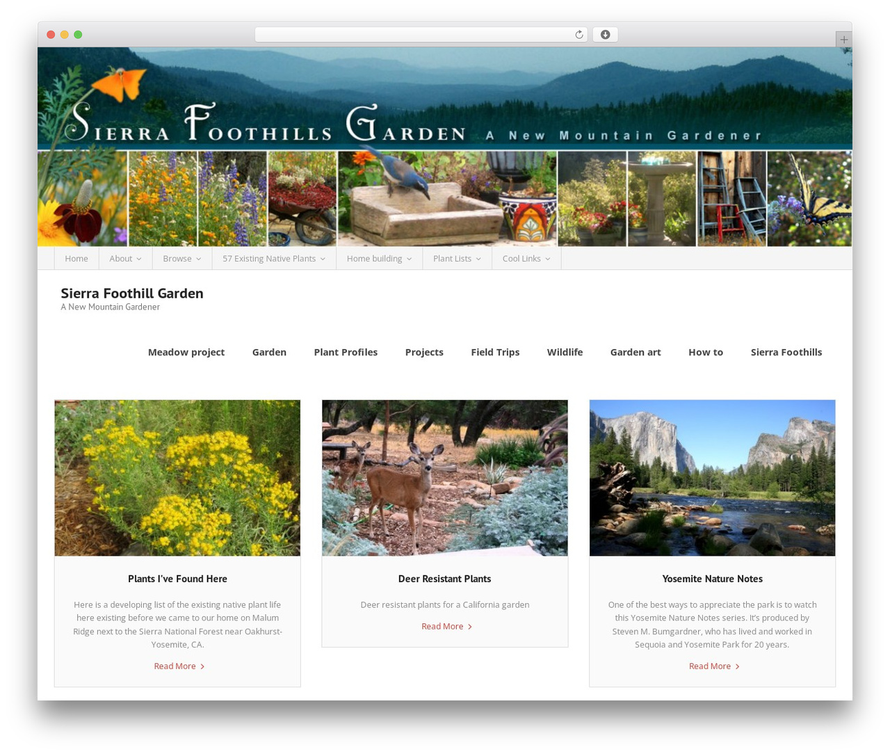 Alante theme WordPress free - sierrafoothillgarden.com Alante theme WordPress free - sierrafoothillgarden.com
