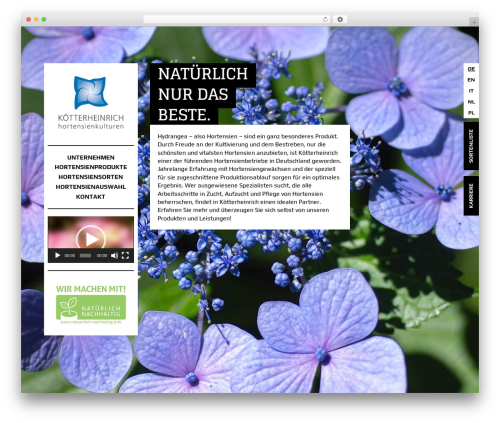 Divi theme WordPress - koetterheinrich.de