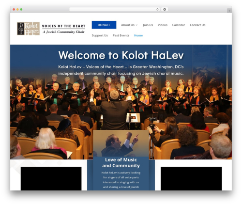 Divi custom type blog grid WordPress plugin - kolothalev.org
