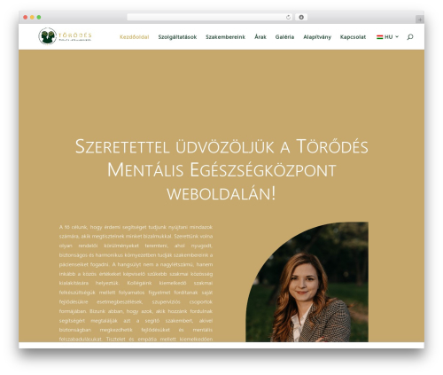 Etranslation multilingual WordPress plugin - torodes.com