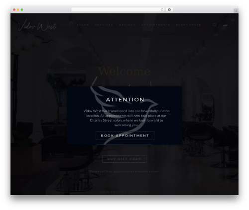 Spotlight social photo feeds premium WordPress plugin - vidovwestsalon.com