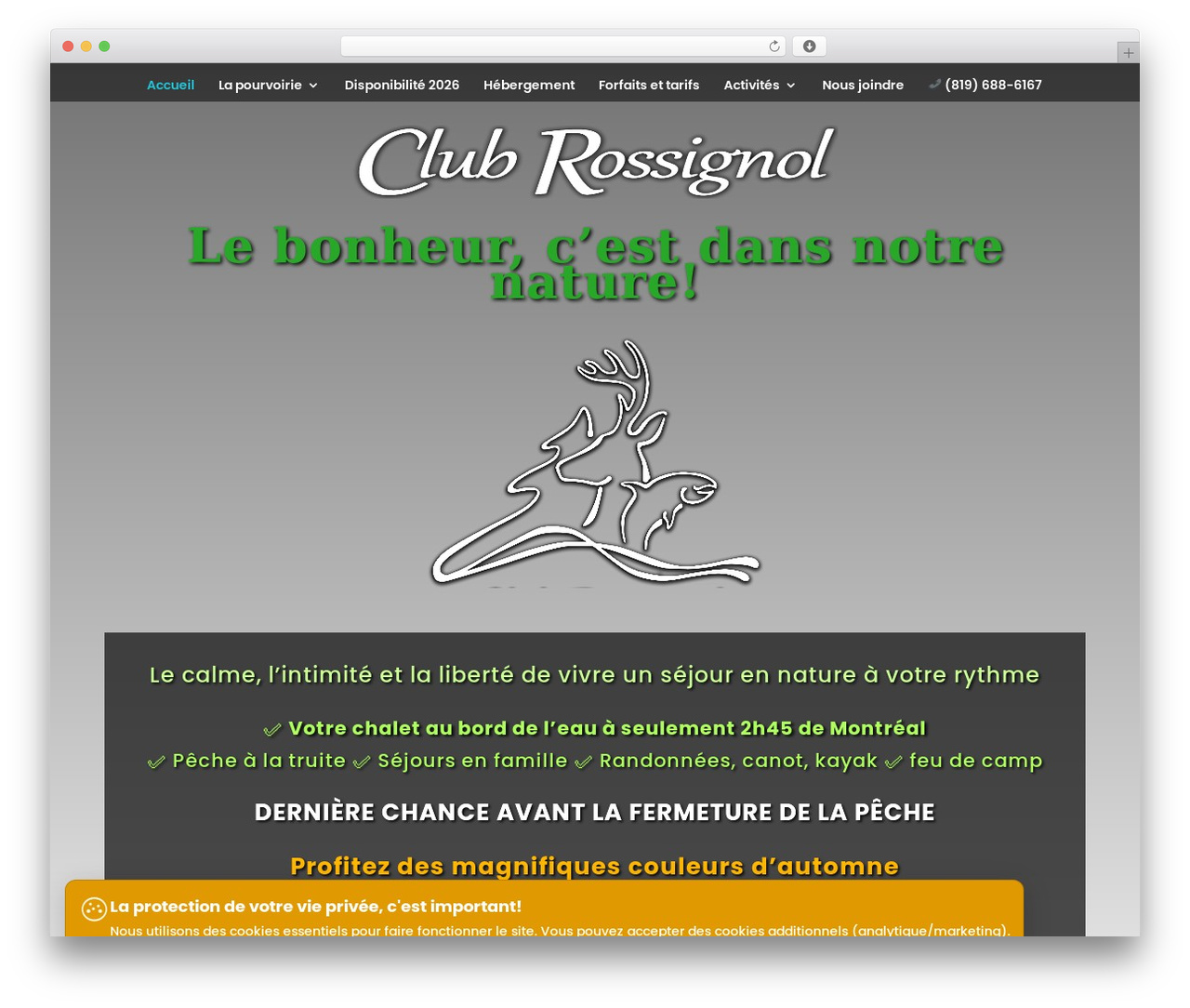 Theme WordPress Divi - clubrossignol.com Theme WordPress Divi - clubrossignol.com