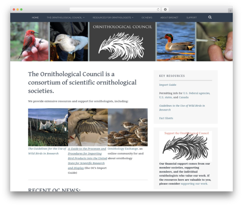 Discussion Board – WordPress Forum Plugin (wp-discussion-board) free WordPress plugin - birdnet.org Discussion Board – WordPress Forum Plugin (wp-discussion-board) free WordPress plugin - birdnet.org