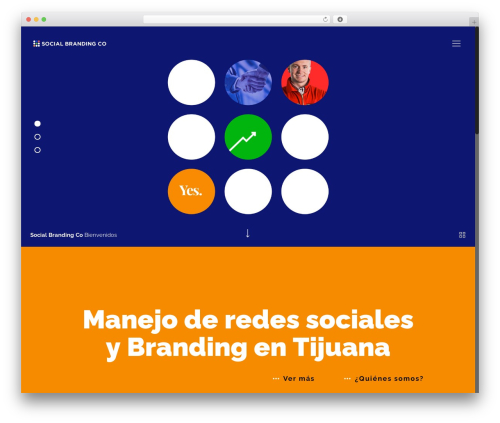 websensemx WordPress website theme - socialbrandingco.com