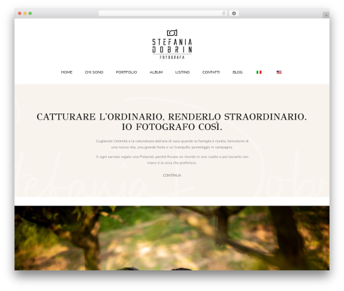 WordPress theme PH Theme - stefaniadobrin.com