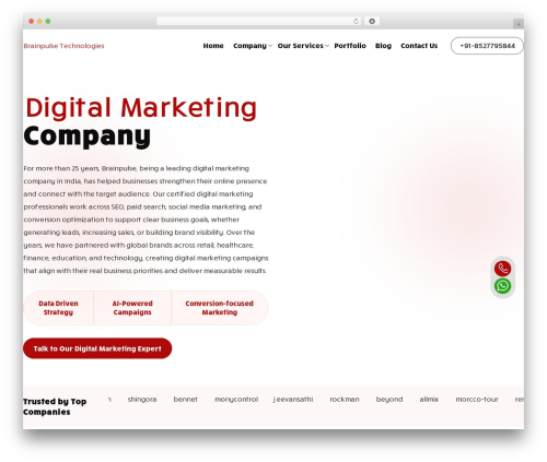 WordPress theme brainpulse - brainpulse.com