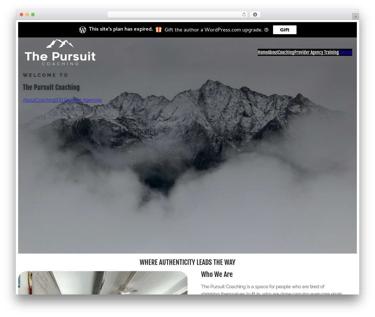 wordpress-express-27 WP theme - pursuitof.life wordpress-express-27 WP theme - pursuitof.life