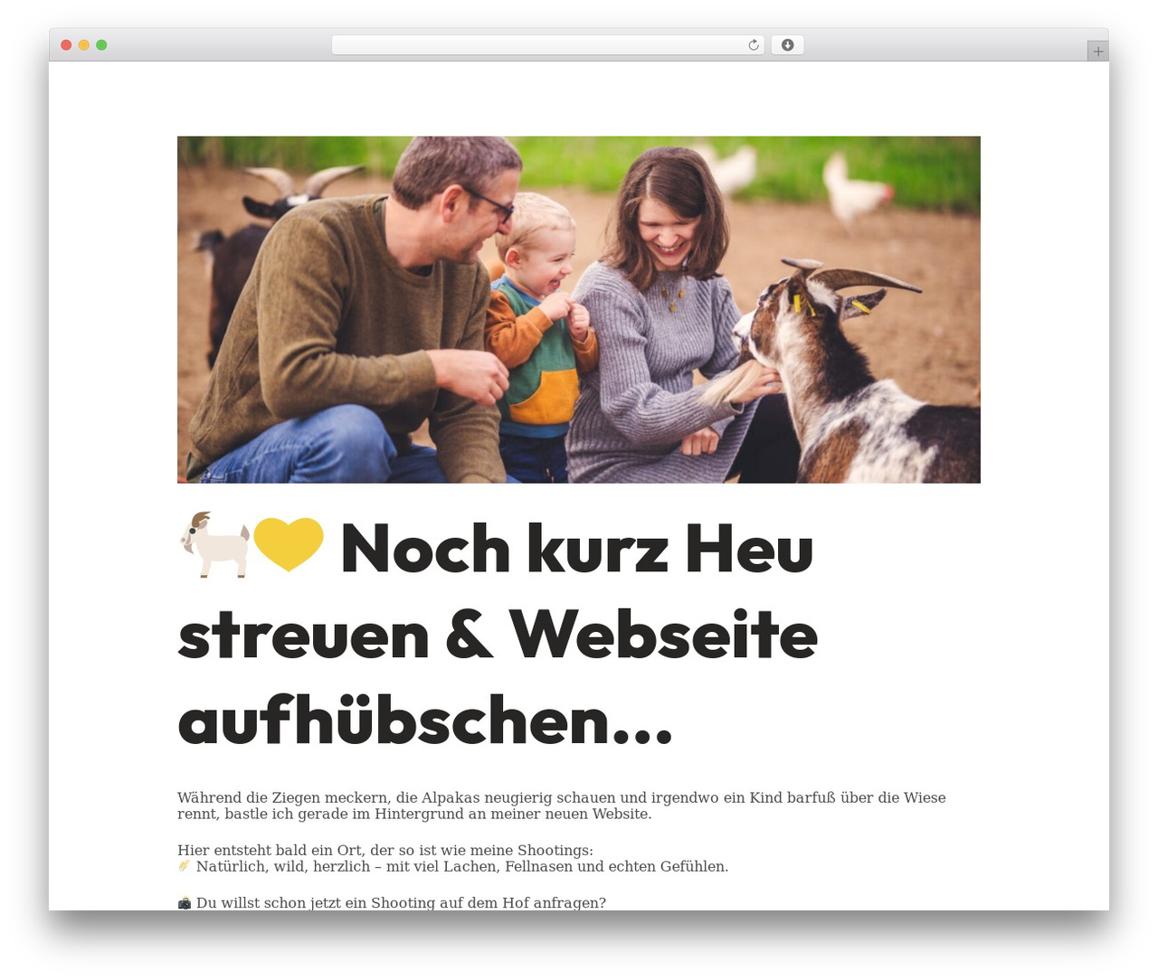 Theme WordPress Blocksy - katihettiger.com Theme WordPress Blocksy - katihettiger.com