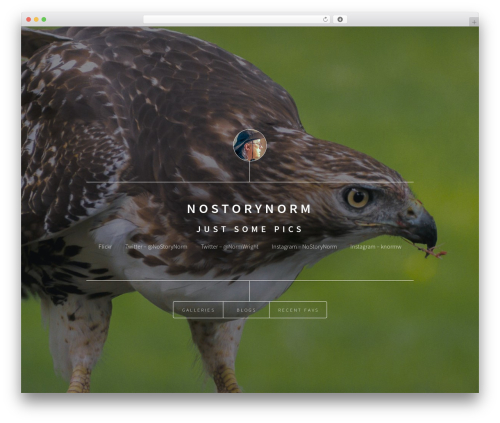 WP-Dimension WordPress theme - nostorynorm.com WP-Dimension WordPress theme - nostorynorm.com