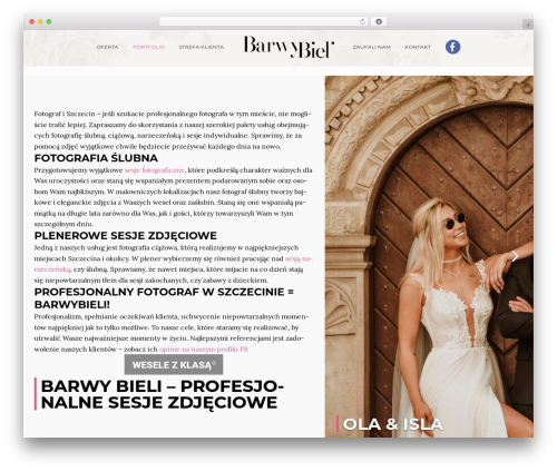 Aster WordPress website theme - barwybieli.pl
