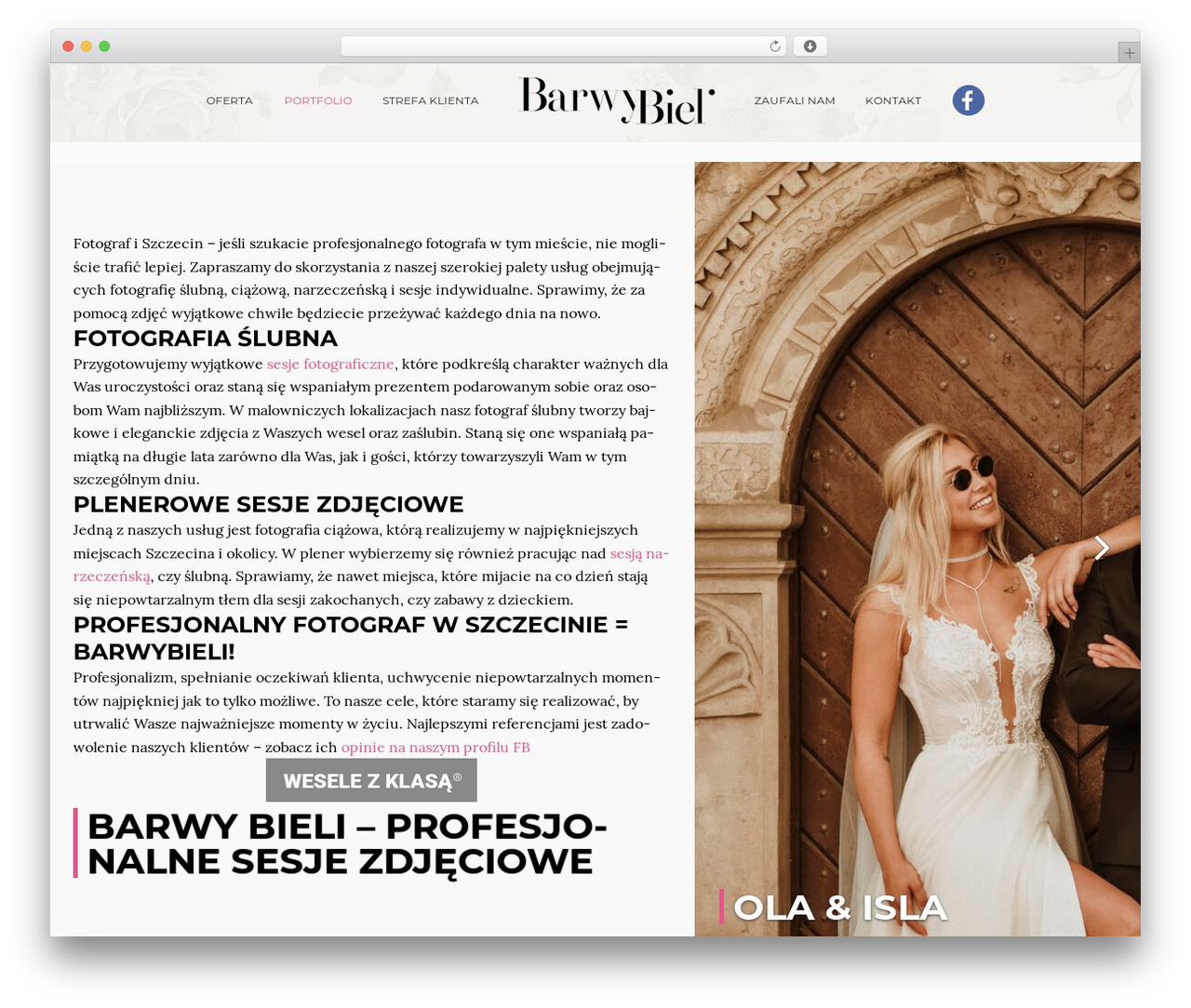 Aster WordPress website theme - barwybieli.pl