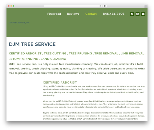Astra WordPress theme - djmtreeservice.com