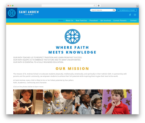 Developer Theme theme WordPress - standrewschool.com