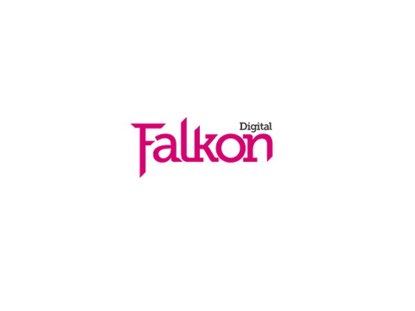 Strallen Theme WordPress theme by Falkon Digital