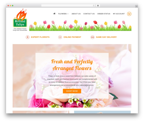 WP Subscribe (wp-subscribe) free WordPress plugin - hollandtulips.com.ph WP Subscribe (wp-subscribe) free WordPress plugin - hollandtulips.com.ph