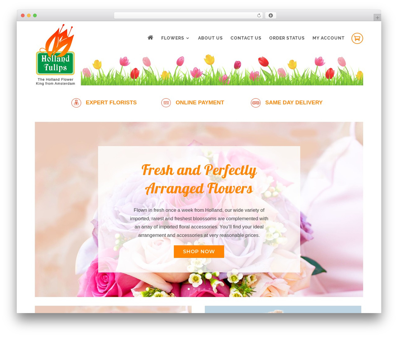 WordPress website theme Divi - hollandtulips.com.ph