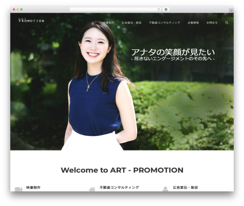 Blake WordPress theme - art-promotion.net