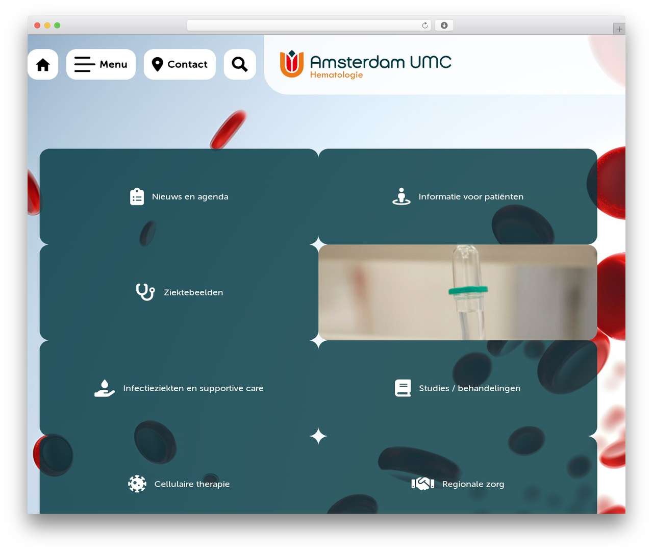 Bootstrap 5 starter theme WordPress - hematologie.nl Bootstrap 5 starter theme WordPress - hematologie.nl