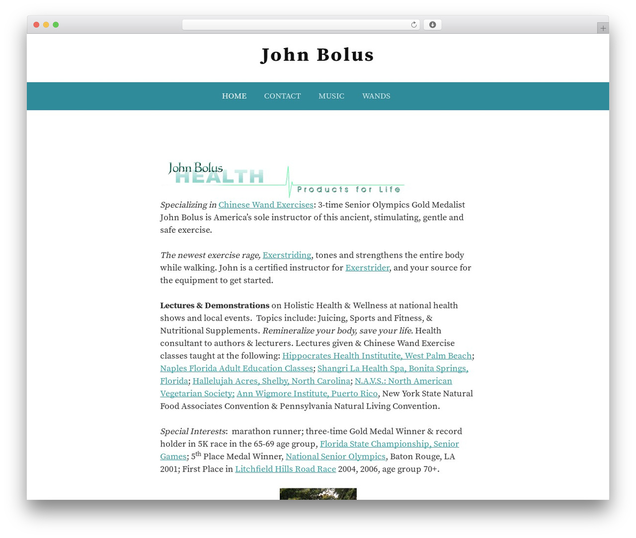 First WordPress theme - johnbolus.net