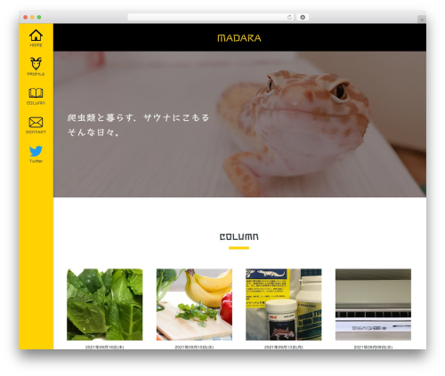 MADARA WordPress theme - mushroomplanet.net