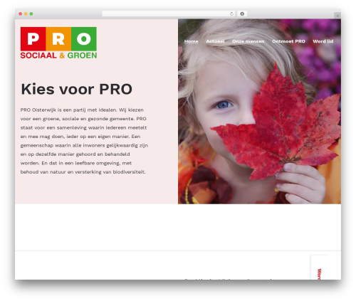 Wp remove google badge WordPress plugin - pro-oisterwijk.nl