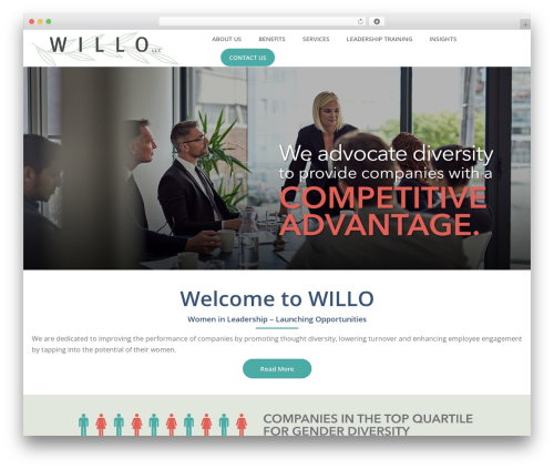 Site customizations WordPress plugin - willo-llc.com