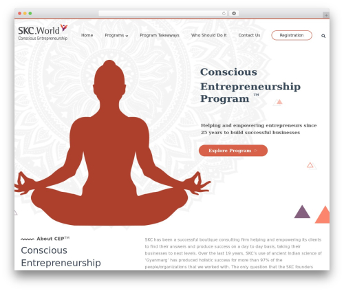 WordPress theme Timisoara - consciousentrepreneurship.com