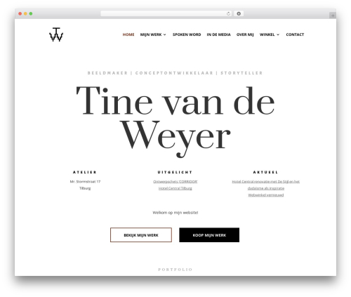 Divi dynamic helper WordPress plugin - tinevandeweyer.nl