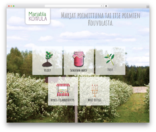 Divi theme WordPress - marjatilakoivula.fi